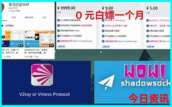 大学城小学排名前十名